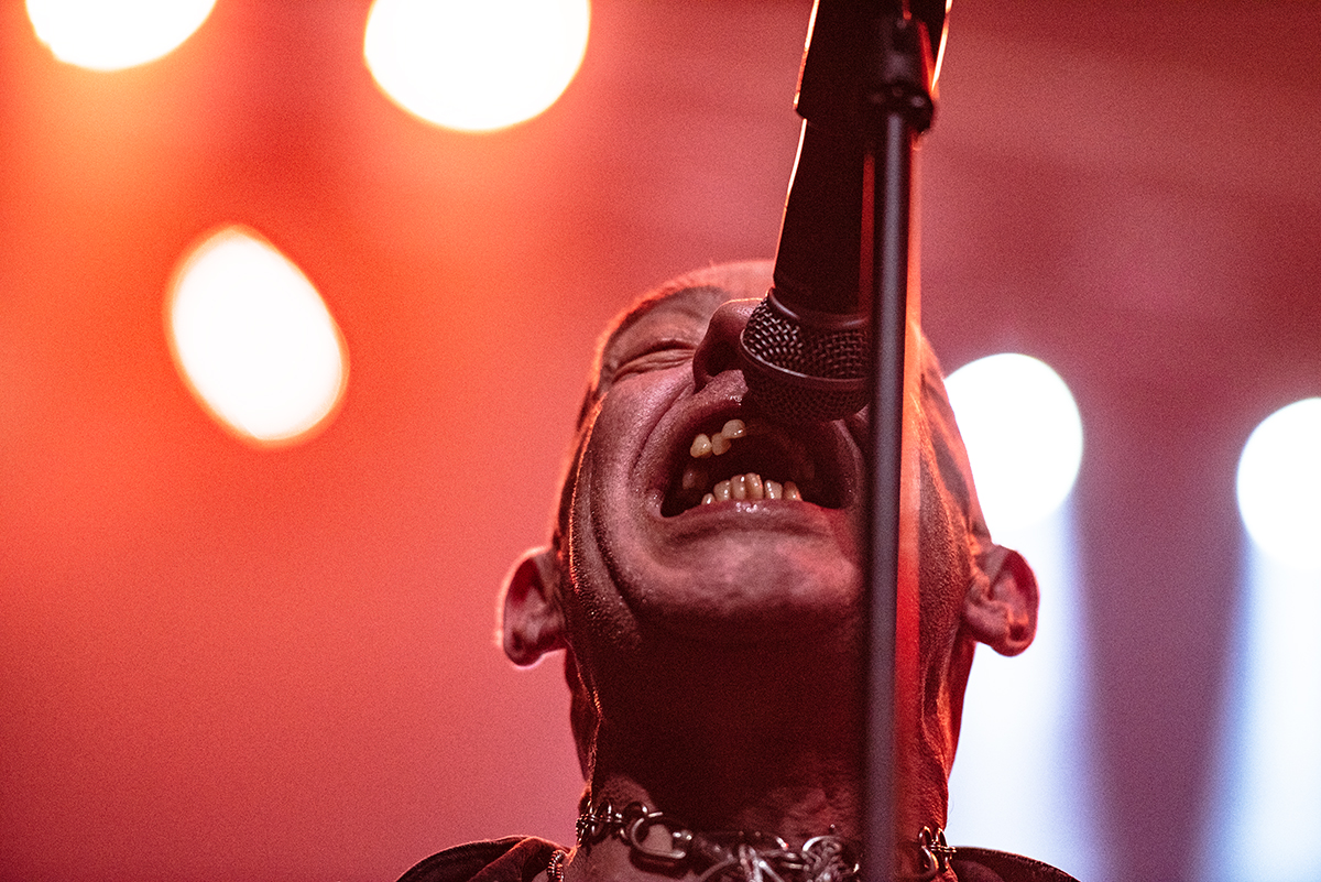 Possessed & Venom Inc.